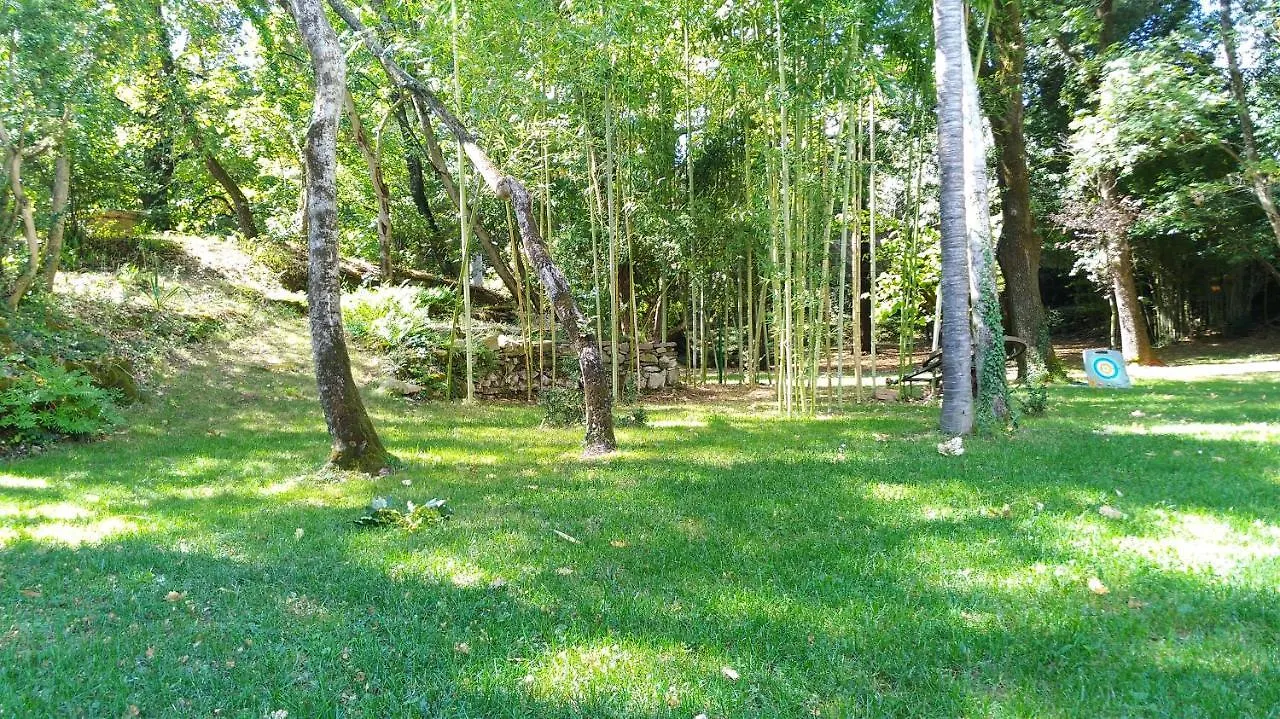 Short Rent Il Casale Apartment Capolona Italy